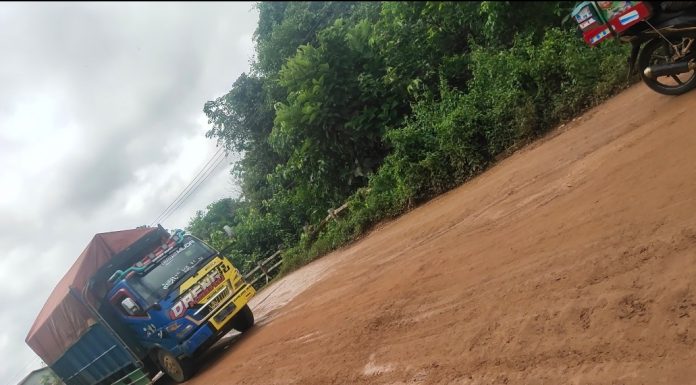 AM Cukung Kayu Ilegal Diduga Kebal Hukum