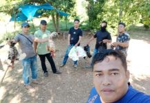 Kapolsek Kindang Pimpin Personil Sapu Bersih Lokasi Judi Sabung Ayam di Desa Balibo