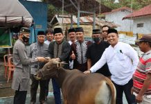 Momentum Hari Raya Idul Adha, Polres Sinjai Berkurban 9 Ekor Sapi