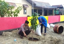 Peduli Penghijauan, Kapolsek Pulau Sembilan Polres Sinjai Tanam Bibit Mangga Pepaya di Depan Polsek