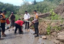 Kapolsek Sinjai Timur Bersama Camat dan Warga Evakuasi Pohon Tumbang di Desa Kampala