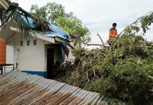 Longsor dan Pohon Tumbang Landa Sinjai, Kabid Darurat BPBD Imbau Warga Hindari Tempat ini