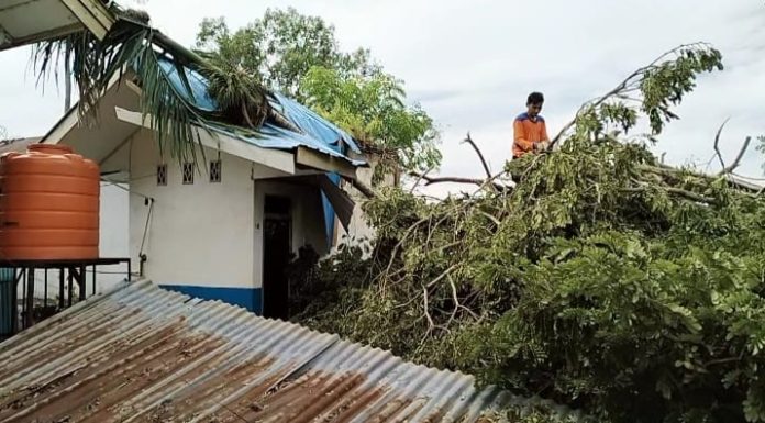 Longsor dan Pohon Tumbang Landa Sinjai, Kabid Darurat BPBD Imbau Warga Hindari Tempat ini