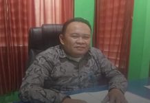 Semarak Hari Lingkungan Hidup Sedunia, DLHK Sinjai akan Tanam 1.000 Pohon