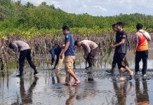 Sambut HUT Humas Polri ke-72, Polres Sinjai Tanam Bibit Mangrove di Desa Panaikang