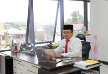 Kaltara Dapat Sapi Brahman Dari Presiden, Beratnya Hampir 1 Ton