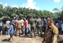 Kemunculan Buaya di Sungai Lolisang Gegerkan Warga