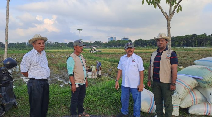 Tani Merdeka Indonesia Deli Serdang Optimalkan Lahan Kosong untuk Ketahanan Pangan Lokal