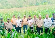 Kadis TPHP Sinjai dan Tani Merdeka Indonesia Sinjai Sinergi Wujudkan Swasembada Pangan di Desa Kaloling