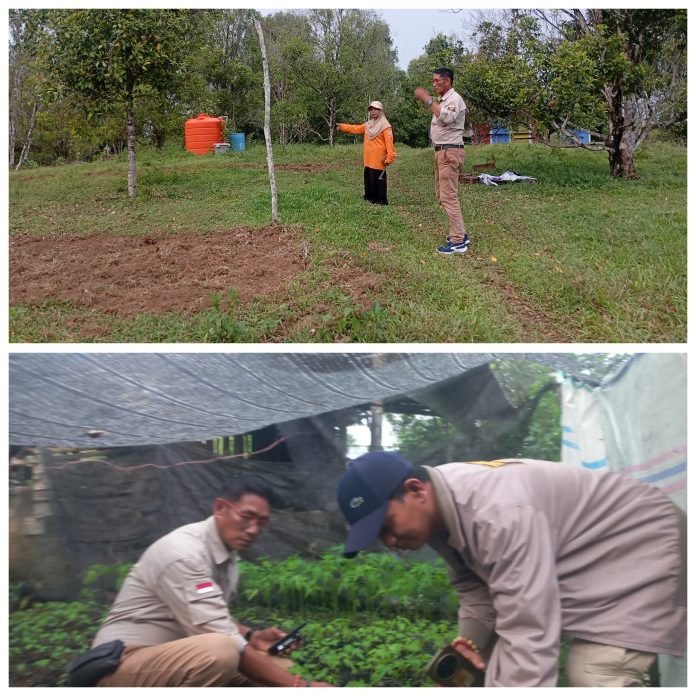 GridArt_20251130_000029449