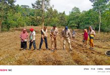 Tani Merdeka Sinjai Lakukan Penanaman Jagung di Tellulimpoe, Dukung Program Ketahanan Pangan