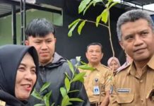 Bupati Sinjai Bagikan Bibit Tanaman dan Galakkan Gerakan Indonesia Hijau