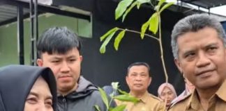 Bupati Sinjai Bagikan Bibit Tanaman dan Galakkan Gerakan Indonesia Hijau