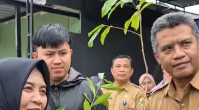 Bupati Sinjai Bagikan Bibit Tanaman dan Galakkan Gerakan Indonesia Hijau