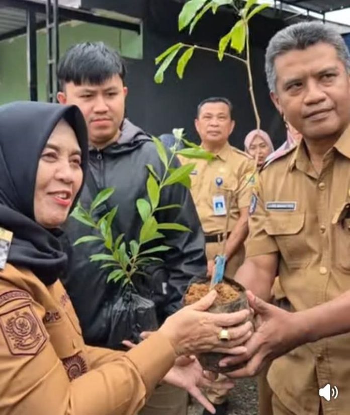 FB_IMG_1765274749481