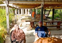 Bupati Sinjai Kunjungi Sekretariat Tani Merdeka Indonesia, Dorong Sinergi Pertanian dan Dapur MBG