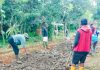 Masyarakat Saotengah Perbaiki Jalan Rusak Secara Swadaya, Aktivis Soroti Minimnya Perhatian Pemerintah
