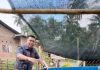 Anggota DPRD Sulsel Heriwawan Tinjau Program Pemanfaatan Pekarangan di Desa Kaloling Sinjai