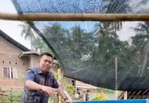 Anggota DPRD Sulsel Heriwawan Tinjau Program Pemanfaatan Pekarangan di Desa Kaloling Sinjai