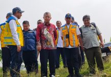 Ombudsman RI Tinjau Lapangan Kasus Banjir Persawahan di Pontang Serang, Dorong Perbaikan Irigasi