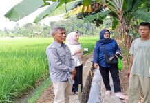 Poktan Mitra Tani Terima Program P3-TGAI di Lebak, Target Tingkatkan Produktivitas Pertanian Lewat Infrastruktur Irigasi Berkualitas