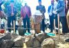 Wamendiktiisaintek & Bupati Sinjai Resmi Mulai Pembangunan Gedung Baru UMSi