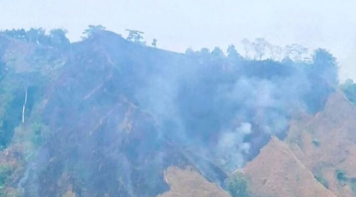 Kebakaran Lahan di Sinjai Borong, 5 Hektare Vegetasi Hangus Terbakar