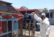 Kematian Ayam Mendadak di Sinjai Utara, DPKH Lakukan Disinfeksi — 1.295 Ekor Tercatat Mati