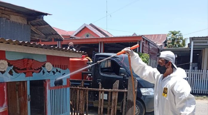 Kematian Ayam Mendadak di Sinjai Utara, DPKH Lakukan Disinfeksi — 1.295 Ekor Tercatat Mati